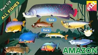 Creatures Of The Deep : All Fishes in Amazon (1/3)