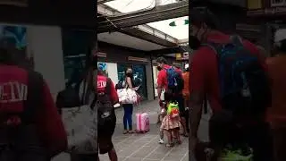 Hilo international airport overwhelmed with departure