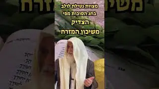 מצוות נטילת לולב בחג הסוכות מפי הצדיק משיכון המזרח