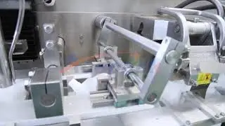 Shanghai Acepack professionaly produces automatic pouch packing machine,doypack packing machine.