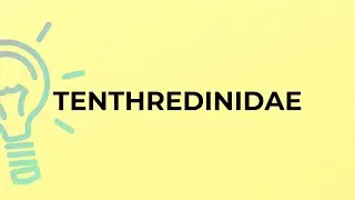 What is the meaning of the word TENTHREDINIDAE?