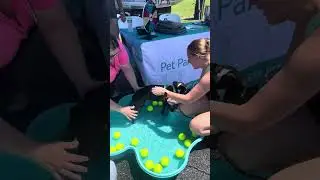 Dogs, Vendors & Smiles: Highlights from Clay County Barkfest at the Fairgrounds