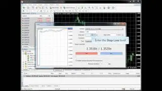 MetaTrader 4 (MT4) - How to place a Stop Loss