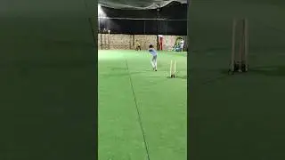 Middle Stump   #cricket #cricketshorts #bobby_4uhh #trending #shorts #viralshorts