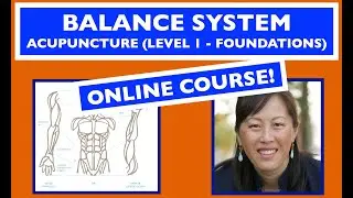 The Balance System Acupuncture Online Course