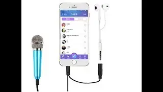 World's Smallest  Microphone