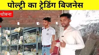 पोल्ट्री का ट्रेडिंग बिजनेस कैसे होता है । poultry ka holsale kaise kare