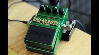 Digitech Bad Monkey | ChoiGuitar Shop
