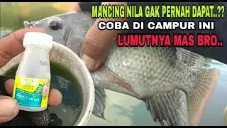 TES MANCING NILA UMPAN LUMUT CAMPUR VANILLA||hasilnya mantap Broo...