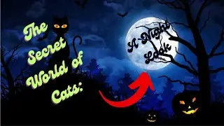 The Secret World of Cats: A Night Look #NightCats #FelineLife #animalworld #top10 #smartanimals