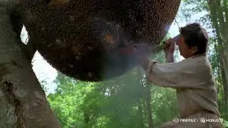 DEEP FOREST HARVEST: Man VS Giant Beehive | The Art of Wild Honey Hunting
