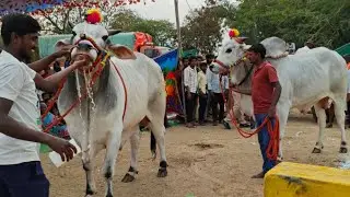 2026-బొమ్మిరెడ్డిపల్లె-న్వు కేటగిరీ 🥇 1st prize 🏆 అక్షర రెడ్డి గారు రాయవరం