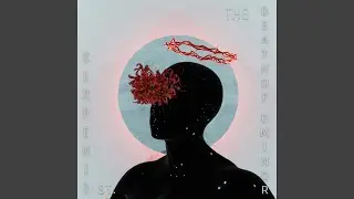 Veil