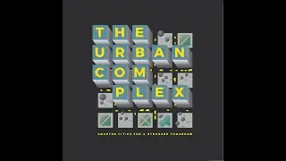 The Urban Complex Interview Lev Gonick