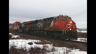 CN 2827 leads intermodal train Q120.