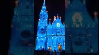 Prathishta Thirunal of basilica Puthanpalli Thrissur / vyakulam procession and amb
