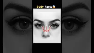 Human body facts#humanbody #factschannel