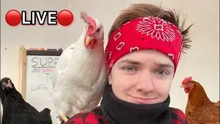 🔴🤠Joseph is live! Subscribers only chat enabled🐔🔴