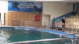 Dolphin Village at Dammam, KSA.