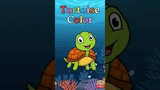 Fast Tortoise Coloring | 30-Second Tortoise Coloring Fun | Watch Me Color a Tortoise 🐢✨