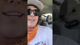 working with Jimmy's car anxiety and breaking patterns