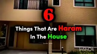 Haram Things In Islam | Haram Food And Halal Food | Maaz Safder Vlog 