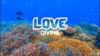LOVE Diving