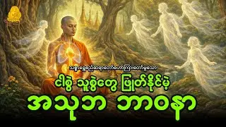 ငါစွဲသူစွဲတွေဖြုတ်နိုင်မဲ့  အသုဘဘာဝနာ - သစ္စာရွှေစည်ဆရာတော်