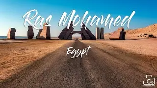 Ras Mohamed National Park, Egypt 2021