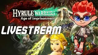 Hyrule Warriors: Age of Imprisonment Playthrough - PART 5!