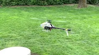 Blade Fusion 180 Helicopter - Maiden Flight