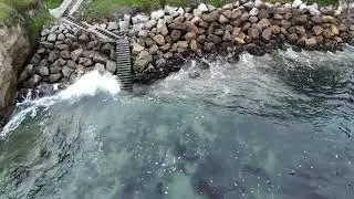 Wavescape 11