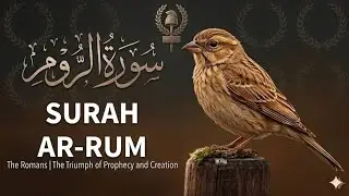 Video Quran Recitation By Bdr Al 3aley Mixed Translation English Arabic Language Written Sora Number