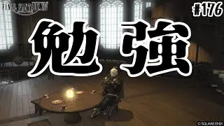とびだせ『ファイナルファンタジーXIV』176日目【#レポリーグ 直前！対策勉強会】