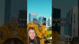 Where to see fall foliage in Texas? 🍂 #shortvideo #foliage #shortvideo #texas #shortsfeed #