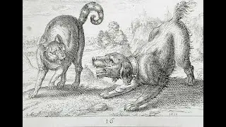 Jewish Fairy Tales and Legends The Quarrel of the Cat and Dog