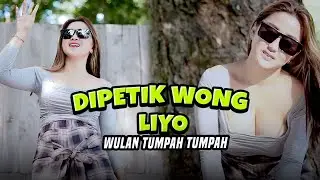 DIPETIK WONG LIYO - Wulan Tumpah Tumpah (Official Music Video)