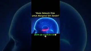 Mode Network Otak untuk Mengenal Diri Sendiri #neurosains #shortsfeed
