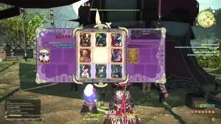 Final Fantasy XIV ARR Triple Triad The Black Shroud NPCs