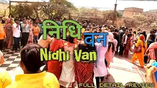 Nidhivan ka rahasya | live🔴 Record | vrindavan 2024 #smalltownvlog #vrindavan