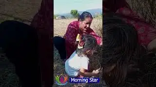 Morning Star Kids Learn Rice Harvesting | Montessori Learning in the Fields | Fun with Nature