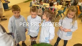 Els projectes, una eina més