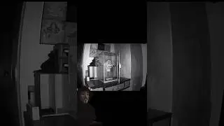 Doll incident Mr.Fritz #horror #analoghorror #creepypasta #scarystories #truestory