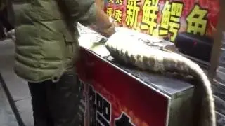 chinese street food in Hangzhou