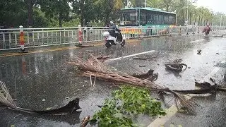 Typhoon Talas expected to make landfall in Hainan Province