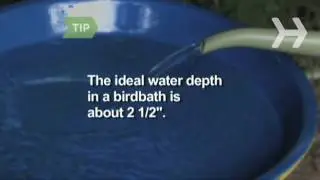 How to Make an Easy Birdbath