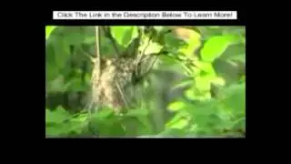 An Example of a Pull Focus (MEDIA/FILM STUDIES)