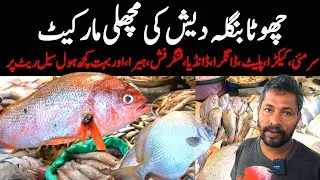 Mini Bangladesh in Karachi Fish Market Bangladeshi in Bangla Market  Bangali Fish @focus with fahim