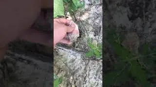 Massive Native American Spear Point Found!