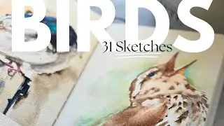 Tour: 31 days, 31 watercolor birds for the 2025 Birdtober Challenge